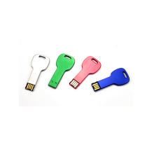 Различный Цвет изготовленный на заказ Логоса USB формы ключа металла